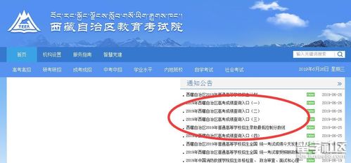 2023年西藏成人高考成績查詢簡化指南 - 腿腿教學網