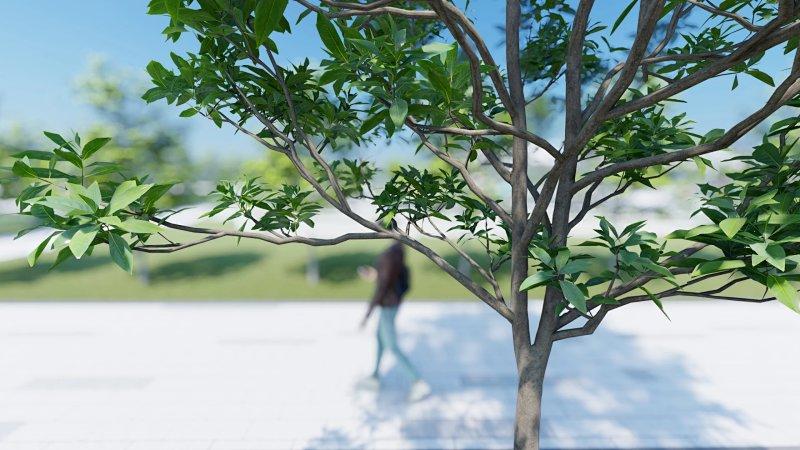 無法選擇Lumion中的樹木 無法選擇Lumion中的樹木 - BIM,Reivt中文網