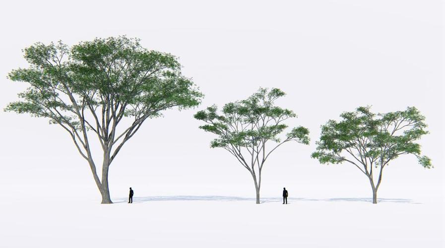 Lumion中常用的樹種 - BIM,Reivt中文網