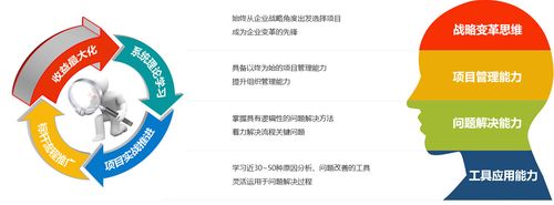 參加DMAIC培訓后的心得和收益 - BIM,Reivt中文網
